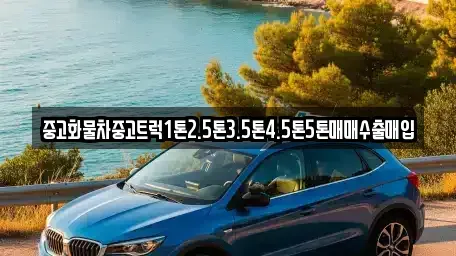 경남 사천시 이홀동 중고차매입 전문 중고화물차중고트럭1톤2.5톤3.5톤4.5톤5톤매매수출매입