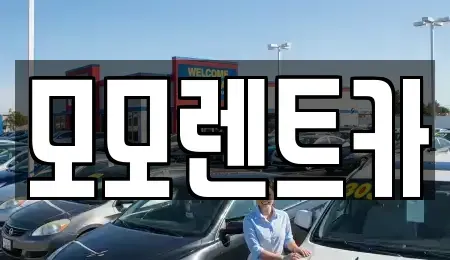 경남 양산시 주남동 렌트카 전문 모모렌트카