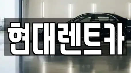 경남 양산시 주남동 렌트카 전문 현대렌트카