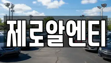 경남 창원시 진해구 경화동 렌트카 전문 제로알엔티