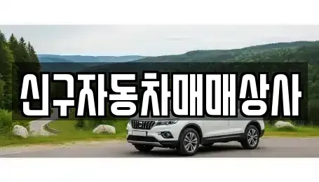 경남 창원시 진해구 경화동 중고차 전문 신구자동차매매상사