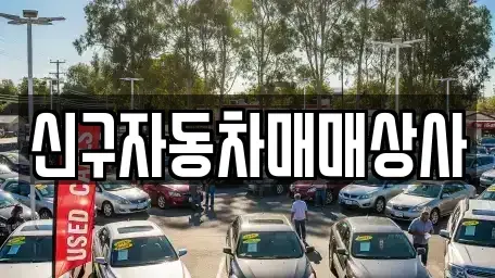 경남 창원시 진해구 송학동 중고차 전문 신구자동차매매상사