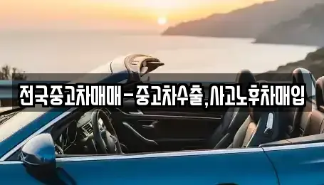 경남 창원시 진해구 중평동 중고차매입 전문 전국중고차매매-중고차수출,사고노후차매입