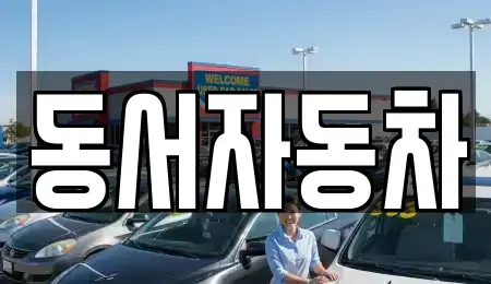 경남 창원시 진해구 태백동 장기렌트카,중고차,렌트카,단기렌트카,중고차매입,중고차매매