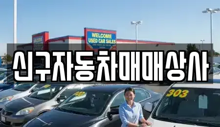 경남 창원시 진해구 태백동 중고차 전문 신구자동차매매상사