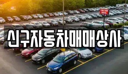 경남 창원시 진해구 회현동 중고차매매 전문 신구자동차매매상사