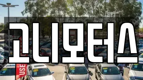 경북 경산시 남천면 중고차 전문 고니모터스