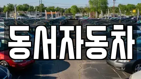 경북 경산시 남천면 중고차 전문 동서자동차