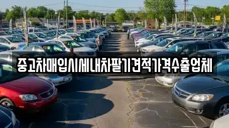 경북 경산시 여천동 중고차매입 전문 중고차매입시세내차팔기견적가격수출업체