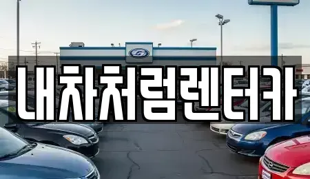 경북 고령군 성산면 렌트카 전문 내차처럼렌터카