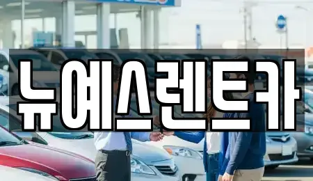 경북 고령군 성산면 렌트카 전문 뉴예스렌트카