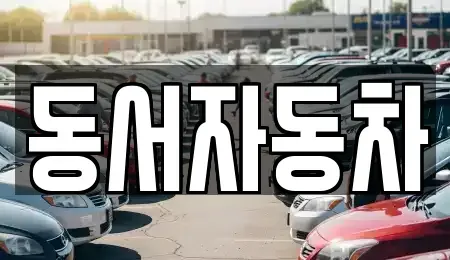 경북 상주시 화개동 중고차 전문 동서자동차