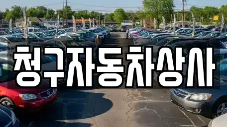 경북 상주시 화개동 중고차,렌트카,중고차매입,중고차매매,장기렌트카,단기렌트카