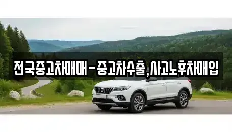 경북 상주시 화개동 중고차매입 전문 전국중고차매매-중고차수출,사고노후차매입