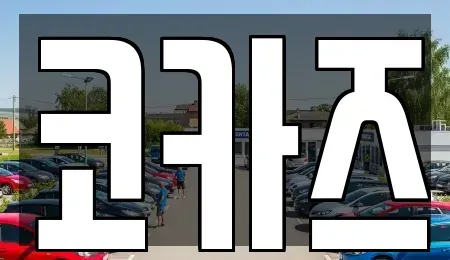 경북 성주군 벽진면 중고차매매 전문 코카즈