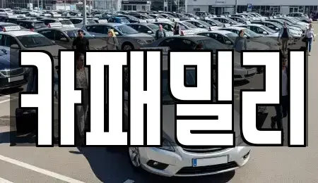 경북 성주군 용암면 중고차 전문 카패밀리