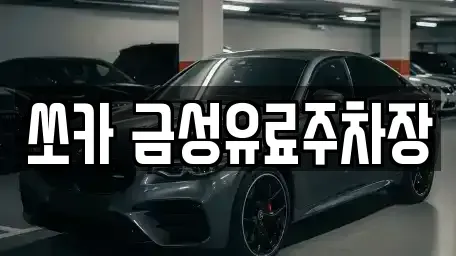 경북 안동시 동문동 렌트카 전문 쏘카 금성유료주차장