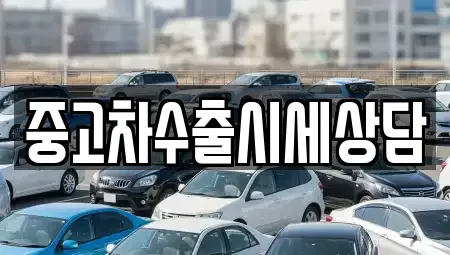 경북 안동시 법상동 중고차 전문 중고차수출시세상담