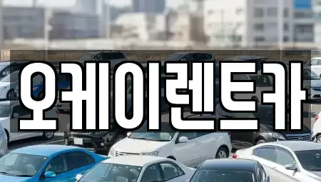 경북 영천시 금호읍 렌트카 전문 오케이렌트카