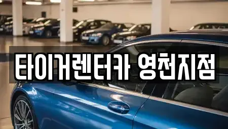 경북 영천시 렌트카 전문 타이거렌터카 영천지점