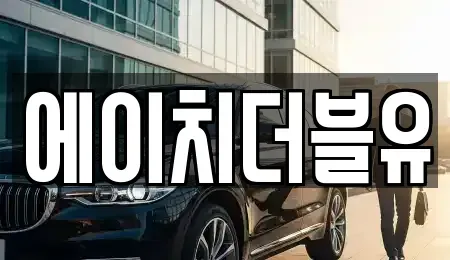 경북 영천시 장기렌트카 전문 에이치더블유