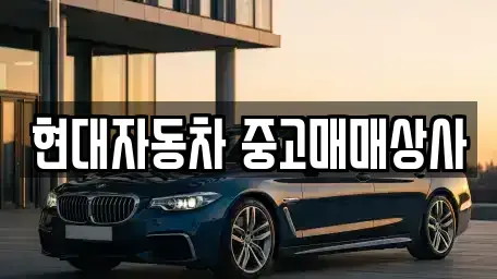 경북 영천시 중고차매매 전문 현대자동차 중고매매상사