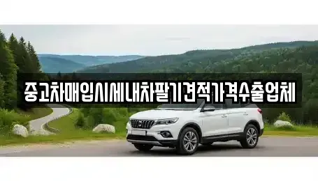 경북 영천시 중고차매입 전문 중고차매입시세내차팔기견적가격수출업체