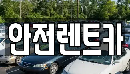경북 청도군 렌트카 전문 안전렌트카