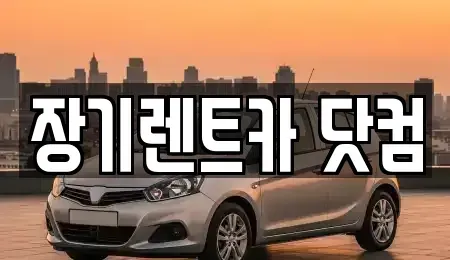 경북 청도군 장기렌트카 전문 장기렌트카 닷컴