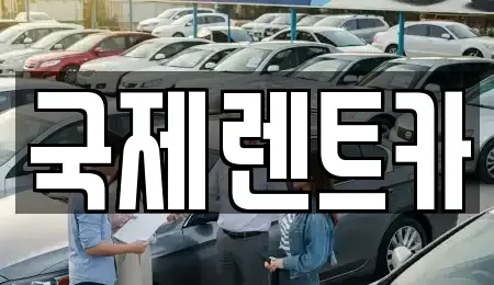 경북 칠곡군 렌트카 전문 국제렌트카