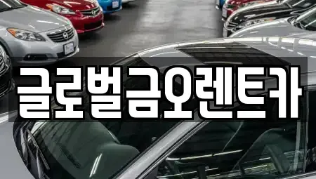경북 칠곡군 렌트카 전문 글로벌금오렌트카