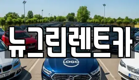 경북 칠곡군 렌트카 전문 뉴그린렌트카