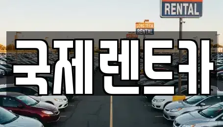 경북 칠곡군 북삼읍 렌트카 전문 국제렌트카
