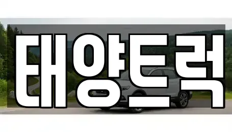 경북 칠곡군 북삼읍 중고차 전문 태양트럭