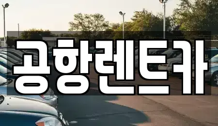 경북 칠곡군 장기렌트카 전문 공항렌트카