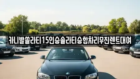 경북 포항시 남구 대잠동 렌트카 전문 카니발쏠라티15인승솔라티승합차리무진렌트대여