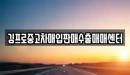경북 포항시 남구 대잠동 중고차매매 전문 김프로중고차매입판매수출매매센터