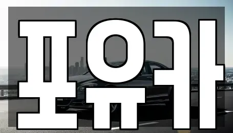 경북 포항시 남구 청림동 중고차매입 전문 포유카