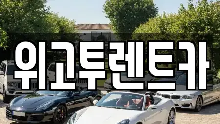 경상남도 김해시 내동 단기렌트카 전문 위고투렌트카