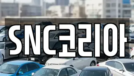 경상남도 김해시 내동 장기렌트카 전문 SNC코리아