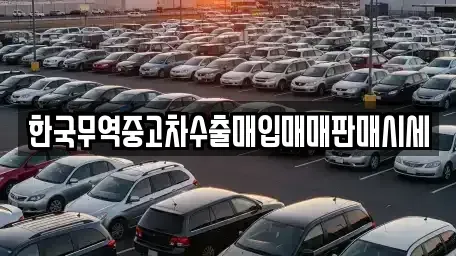 경상남도 김해시 내동 중고차매매 전문 한국무역중고차수출매입매매판매시세