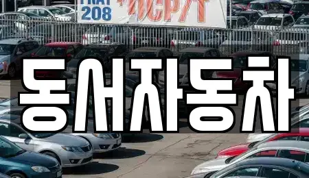 경상남도 산청군 산청읍 중고차매매 전문 동서자동차