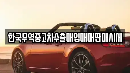 경상남도 산청군 산청읍 중고차매입 전문 한국무역중고차수출매입매매판매시세