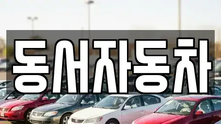 경상남도 진주시 집현면 중고차 전문 동서자동차