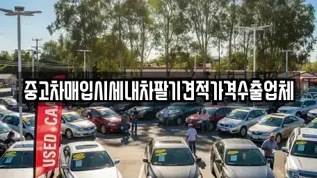 경상남도 창녕군 대합면 중고차매입 전문 중고차매입시세내차팔기견적가격수출업체