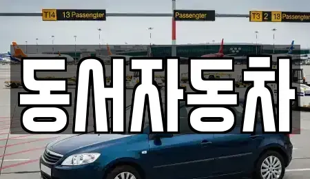 경상남도 창녕군 이방면 중고차 전문 동서자동차