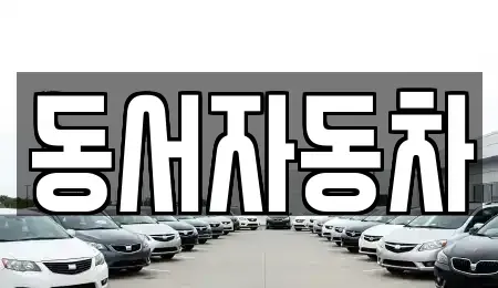 경상남도 창원시 마산합포구 월남동5가 중고차매매 전문 동서자동차