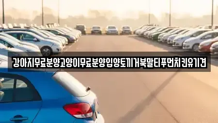 경상남도 창원시 마산합포구 월남동5가 중고차매입 전문 강아지무료분양고양이무료분양입양토끼거북말티푸먼치킨유기견