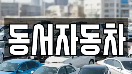 경상남도 창원시 성산구 귀곡동 중고차 전문 동서자동차