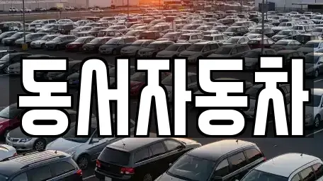 경상남도 창원시 진해구 대영동 중고차 전문 동서자동차